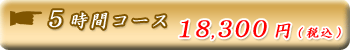 5���ԃR�[�X