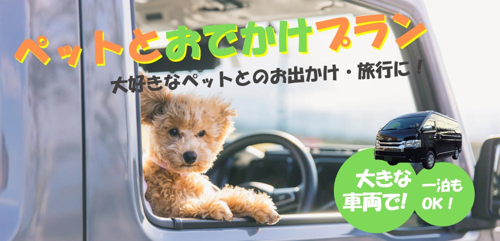ペットとおでかけプラン
