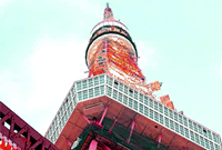 東京観光タクシープラン