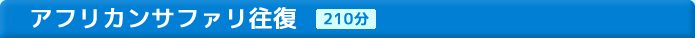 アフリカンサファリ往復(210分)